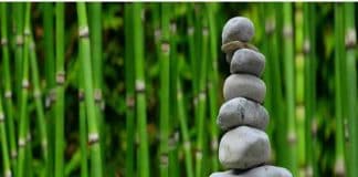 Elementos de un jardín, decoración con cenadores, porches y pérgolas