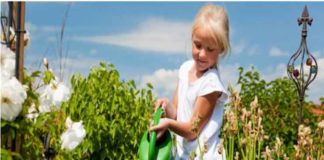 Las temporadas de primavera y verano son ideales para enfocarnos en el jardín y cuidar nuestras plantas. Ya sea que quieras sembrar las más simples hierbas, pasando por las delicadas flores y hasta los más complejos vegetales, todo es posible. Lo importante es tener la dedicación necesaria y los instrumentos apropiados para el trabajo. Este último aspecto es tan importante como en cualquier otra labor. Es difícil encontrar a un pintor que logre hacer un buen trabajo sin pinceles o sin pintura, al igual que a un mecánico sin llaves o sus herramientas. En el caso de la jardinería, elegir las herramientas de jardín es tan relevante como seleccionar las semillas que se van a sembrar. Las herramientas de jardinería son una inversión Después de comprar buenas herramientas de jardín, los consumidores notan la diferencia, puesto que pueden durar más años y hasta décadas si se les hace el mantenimiento apropiado. No importa el tipo de herramienta del que se esté hablando, puede ser una pala o unas tijeras especiales, lo importante es que la compra de estos significa una inversión a largo plazo que evitará tener que solicitar el servicio de jardinería una y otra vez o adquirir productos de mala calidad que obligarán a comprar uno nuevo en unos pocos meses. Evitan un mayor nivel de frustración Una herramienta rota es un problema por más de una razón. Obviamente, se pierde tiempo y dinero al tener que dejar todo a un lado para ir a la tienda y buscar un reemplazo o al tener que llamar a un servicio de jardinería. Cosas que simplemente no son particularmente divertidas. Sin embargo, un aspecto que muchas veces no es tomado en consideración se basa en el hecho de que cuando se rompe una herramienta, el humor cambia por completo y no precisamente de forma positiva. Es por esta razón que si se quiere evitar frustraciones y sentimientos negativos, lo mejor es adquirir la mejor versión del producto. A fin de cuentas, se supone que la jardinería debería ser relajante y fluida, no todo lo contrario. Cortes limpios A todos nos gusta ver una planta en sus mejores condiciones, que se encuentra bien cuidada y arreglada. Por esa misma razón es importante realizar cortes limpios cada vez que se poda, bien sea con una sierra o con tijeras de jardinería. Los cortes limpios son ideales porque no desgarran tanto las ramas y disminuyen el daño que se le hace a la planta, lo cual puede terminar muy mal si no se le hace un tratamiento adecuado. Además, los cortes limpios evitan que los insectos y las enfermedades entren al sistema de la planta, resultando en una vida más prolongada y sana. Definitivamente es prevenir antes que lamentar. Filo prolongado A diferencia de las herramientas de bajo nivel o los cuchillos convencionales, las herramientas de alta calidad permiten mantener su filo durante una mayor cantidad de tiempo. Si bien es cierto que esto evita tener que perder el tiempo para recurrir a la afiladora cada vez más frecuentemente, también significa prolongar la vida útil de la herramienta en cuestión. En este sentido, el dinero adicional que se gasta en obtener un producto de buena calidad, se ahorra en el proceso de mantenimiento de las herramientas. Acceso en cualquier momento Hay muchas personas que prefieren contratar un servicio de jardinería que haga este trabajo por ellos. Sin embargo, puede llegar a ser bastante costoso. Las buenas herramientas no solo ahorran el dinero que se gasta, sino que se puede acceder a ellas en cualquier momento. No hay necesidad de recurrir a alquileres o a otros servicios que pueden significar una molestia para todos los involucrados.