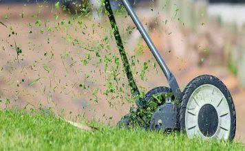 ¿Qué máquinas y herramienta necesita un jardín bien cuidado?