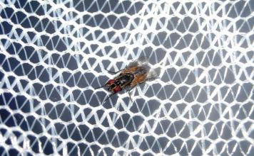 Mosquiteras para cualquier época del año mosquiteras